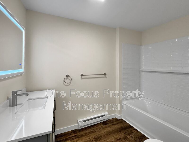 Spacious and BRAND NEW 1BR/1BA - up to 2 cats welcome! property image