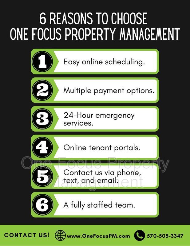 Spacious Efficiency! I pet under 30 lbs. welcome! property image